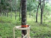 เครื่องกรีดยางอัตโนมัติ ทำงานผ่านแอพฯมือถือ ?