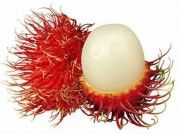 เมล็ดเงาะคือยาที่ดีที่สุดสำหรับผู้ป่วยโรคเบาหวาน