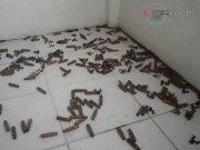 พิสูจน์หลักฐานเผยปลอกกระสุนคนร้ายบุก รพ.เจาะไอร้อง พบมาจากปืนที่ก่อเหตุมาแล้ว 25 คดี