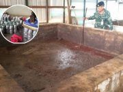 จนท.บุกจับโรงงานผลิตปลาร้าและน้ำบูดูที่อยุธยา สภาพสุดโสโครก ส่งใต้มานับ10ปี