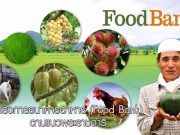 โครงการเมืองต้นแบบ “สามเหลี่ยมมั่นคง มั่งคั่ง ยั่งยืน”