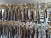 “กุเลา ตันหยงเปาว์” สันติภาพกินได้