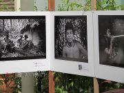 “ทีเคปาร์คยะลา” จัดแสดง นิทรรศการและภาพถ่าย “โอรังอัสลี วิถีคนไพร”