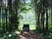 เจอแล้ว! รถคันสุดท้ายในสวนยางพารา หลังกลุ่มคนร้ายก่อเหตุปล้นรถ คาดนำไปประกอบคาร์บอมบ์