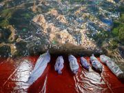 สุดเศร้าคลิปจากโดรนเผยภาพผู้ลี้ภัยโรฮิงยา – พบศพเพิ่มเหล่าเด็กน้อยจมกลางแม่น้ำมรณะ
