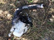 เผากล้องวงจรปิด ก่อนกดบึ้มทหารพรานเจ็บ 6 นาย